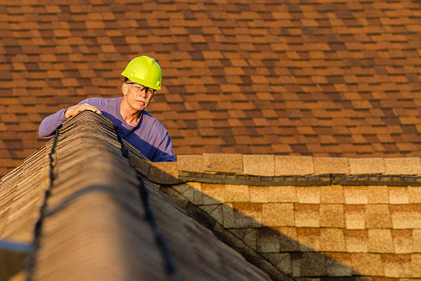 Roof Gutter Cleaning in Doolittle, TX